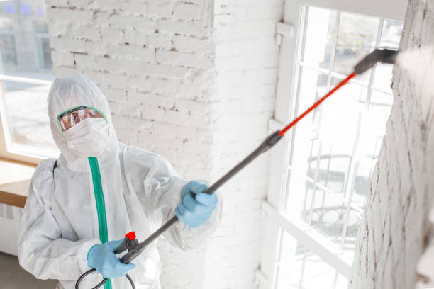 Best Commercial Mold Inspection  in Indian Shores, FL