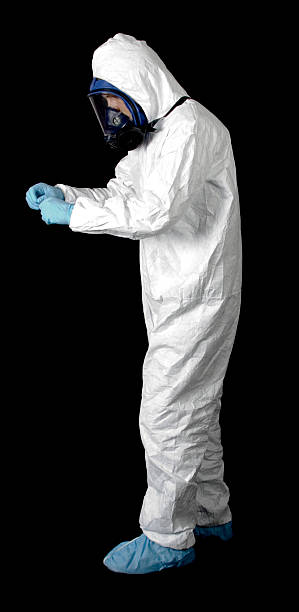 Best Water Damage & Mold Remediation  in Indian Shores, FL